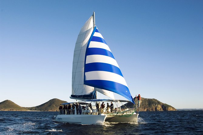 Port Stephens 3 Hour Whale and Dolphin Watch Cruise - Who will enjoy this cruise most