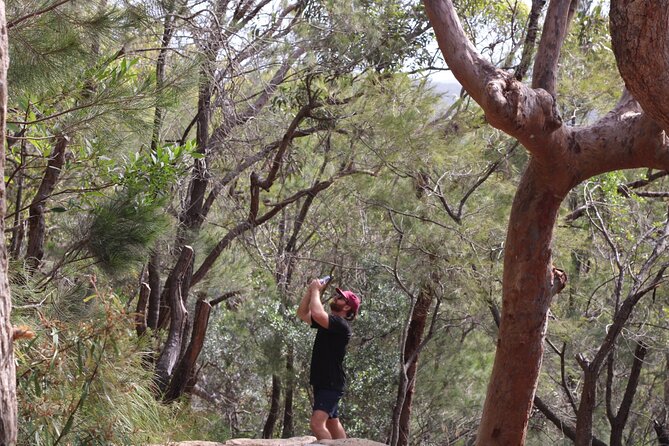 Port Stephens, departing Newcastle - Whales, hike & sand dunes! - Who should book this Port Stephens experience?