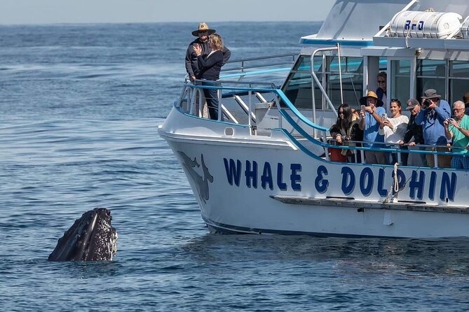 Port Stephens, departing Newcastle - Whales, hike & sand dunes! - Should you book the whale, hike, and dunes tour?