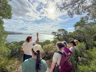 Port Stephens, from Newcastle: Whales, hike & sand dunes!