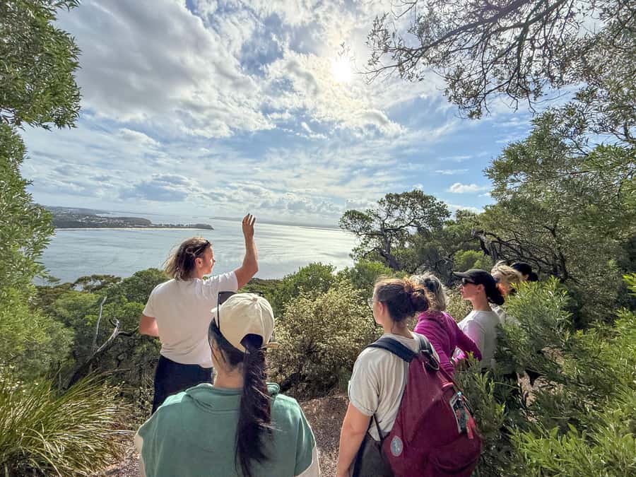 Port Stephens, from Newcastle: Whales, hike & sand dunes! - Seafood lunch beside the water