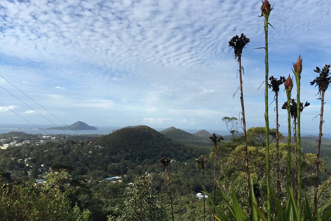 Port Stephens Private Tour From Sydney, with Dolphin/ Whale Cruise Options - Little Beach Reserve for a quick coastal pause