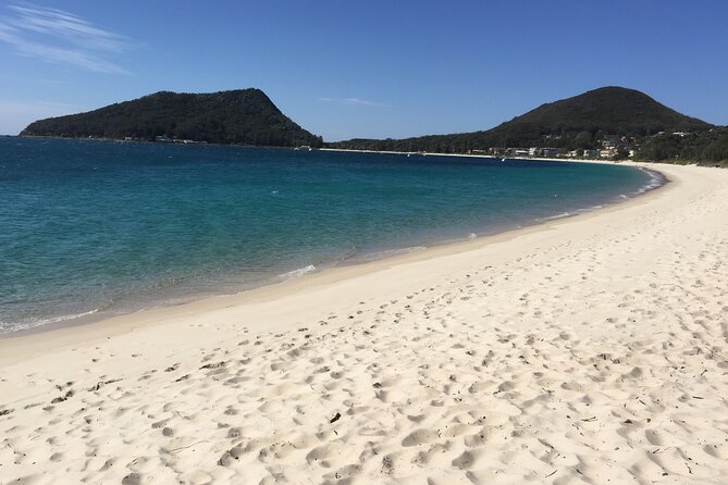 Port Stephens Private Tour From Sydney, with Dolphin/ Whale Cruise Options - The long return to Sydney