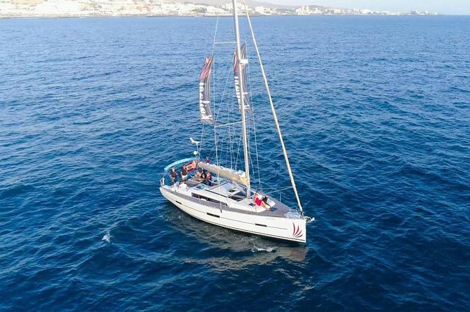 Premium All Inclusive Whale & Dolphin Watching Experience - Setting out from Puerto Colón in Playa de las Américas