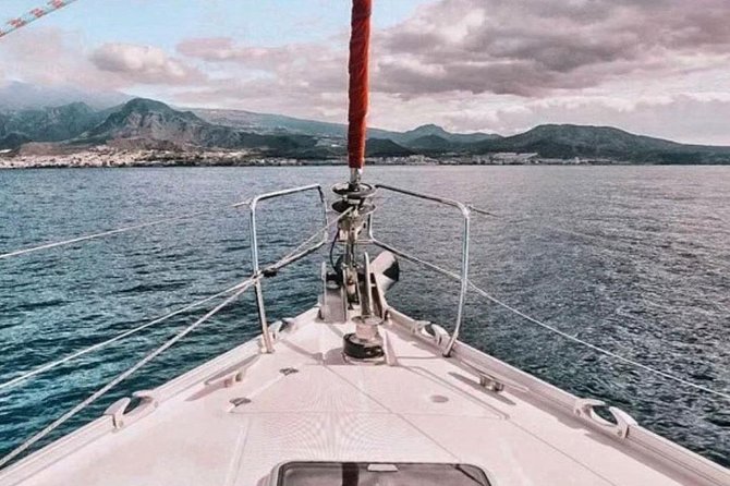Premium All Inclusive Whale & Dolphin Watching Experience - The skippers and the quality of the commentary