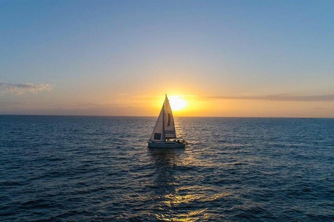 Premium All Inclusive Whale & Dolphin Watching Experience - Watching whales along Tenerife’s southern coast