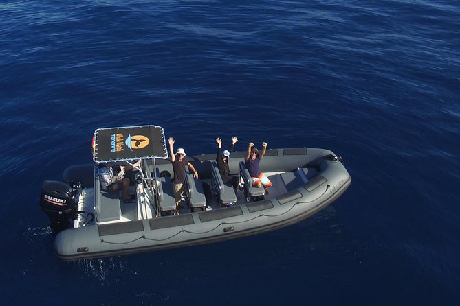 Private 2 hour Whale Watching Tour - Key things to know before you book