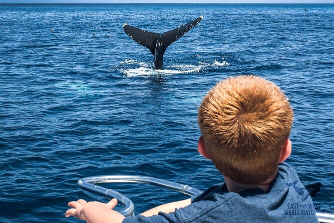 Private 2hr Supreme Whale/Dolphin Watching Tour, Newport Beach CA - The small boat makes the ride lively
