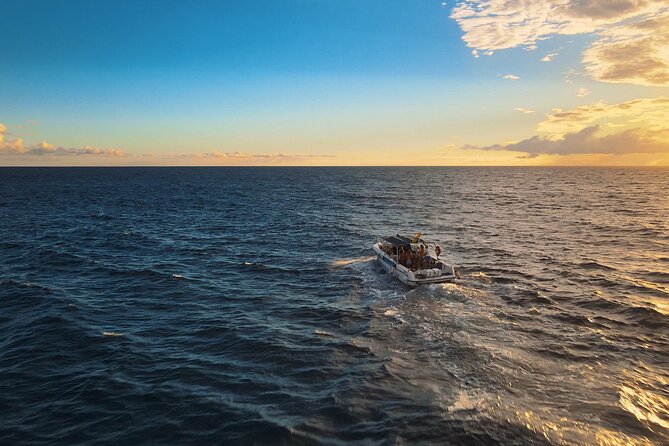 private charter 3 Hours Whale Encounter puerto colon adeje - Setting out from Puerto Colón in Costa Adeje