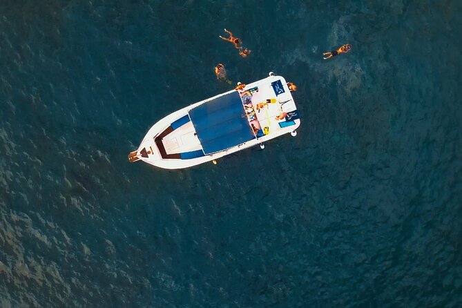 private charter 3 Hours Whale Encounter puerto colon adeje - Who will enjoy this charter most