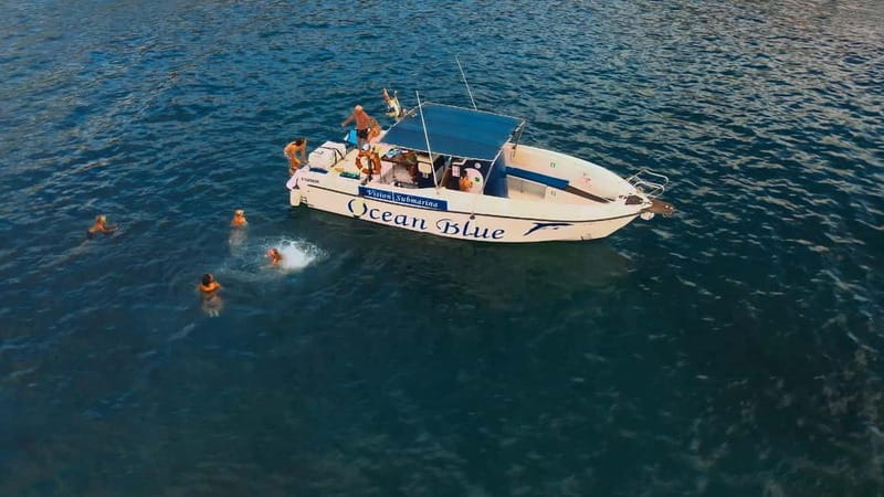Private Charter Private Charter to see the whales - 3 Hours - Setting Out From Lina Yacht at Puerto Colón