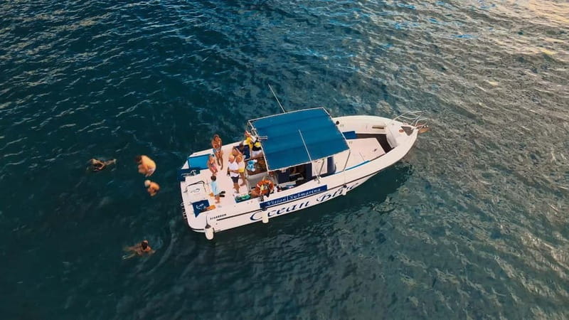 Private Charter Private Charter to see the whales - 3 Hours - Glass-Bottom Views and Underwater Vision