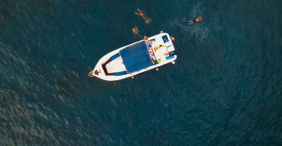 Private Charter Private Charter to see the whales - 3 Hours - A Swim Stop at El Puertito or Playa de las Vistas