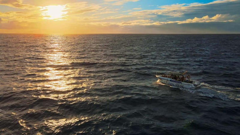Private Charter Private Charter to see the whales - 3 Hours - Is the Private Charter Good Value?
