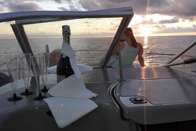 Private Dolphin and Whale Watching Tour in Madeira - Key Points Before You Book