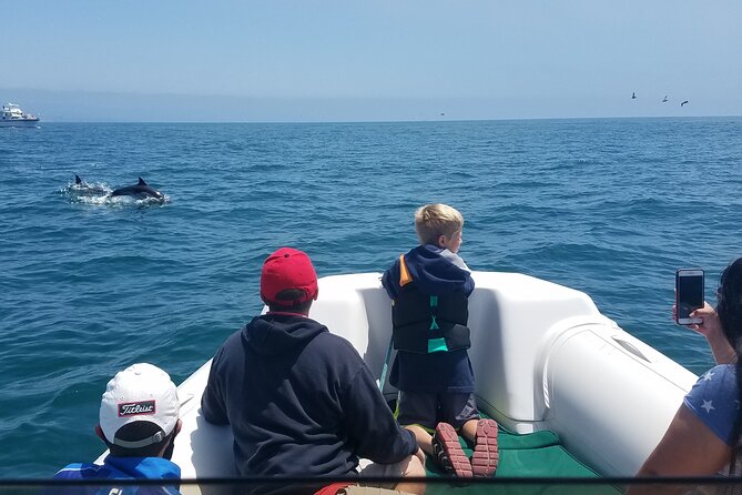 Private Dolphin and Whale Watching Tour in Newport Beach - Key points to know before you book