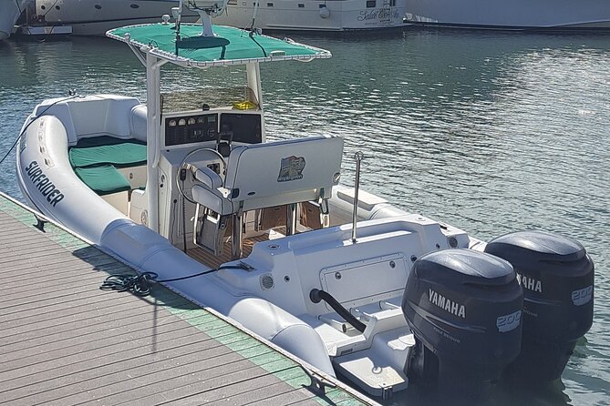 Private Dolphin and Whale Watching Tour in Newport Beach - Whales, sea lions, seals, and other sightings