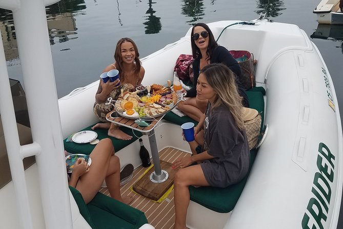 Private Dolphin and Whale Watching Tour in Newport Beach - The fast run toward Laguna Beach and Dana Point