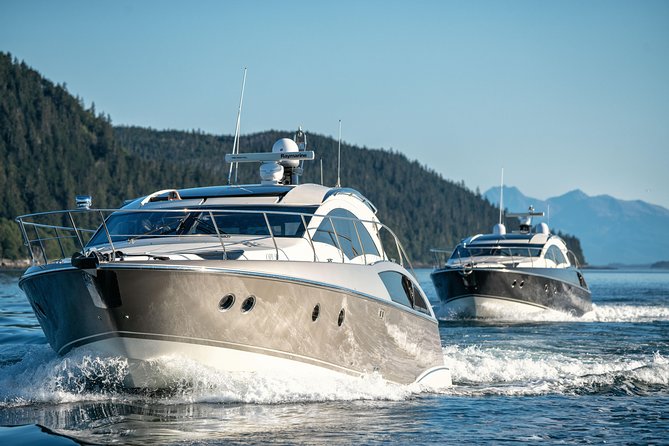 Private Luxury Whale Watch - A crew that makes the difference