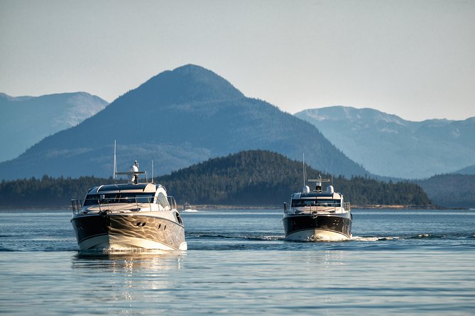Private Luxury Whale Watch - Who will enjoy this most?