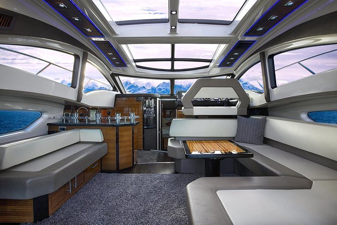Private Luxury Whale Watch - Humpbacks, orcas, and other wildlife