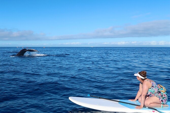 Private Paddleboard (SUP) Whale Watch: All Skill Levels Welcome - Is $189 worth paying?
