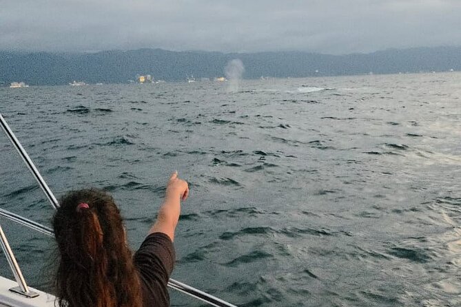Private Tour 3 Hours of Whale Watching - What the private format adds