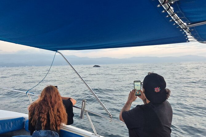 Private Tour 3 Hours of Whale Watching - Captain service and language expectations