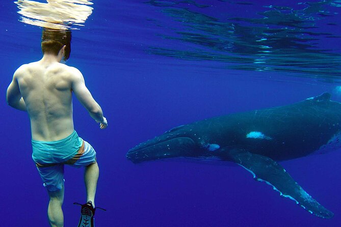 Private Tour: Bora Bora Whale Watching & Swimming Experience - Leaving Bora Bora by private boat
