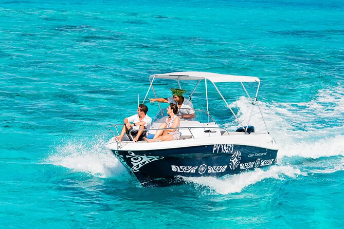 Private Tour: Bora Bora Whale Watching & Swimming Experience - What six sightings can look like
