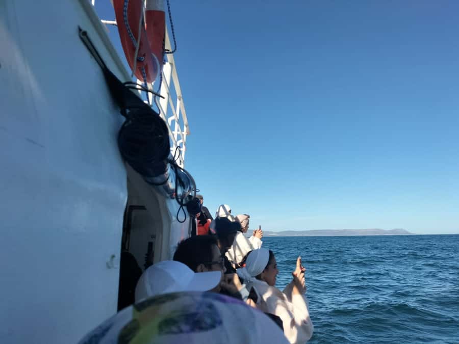 Private Tour: Hermanus- Boat Based Whale Watching Experience - Why Hermanus makes a strong full-day outing