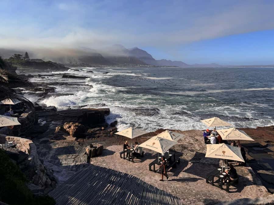 Private Tour: Hermanus- Boat Based Whale Watching Experience - The return route includes False Bay views