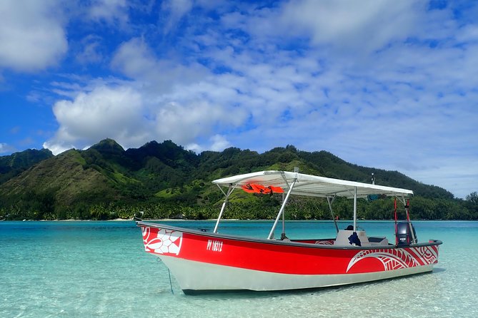Private tour observing and swimming with humpback whales in Moorea - The unusual subwin board option