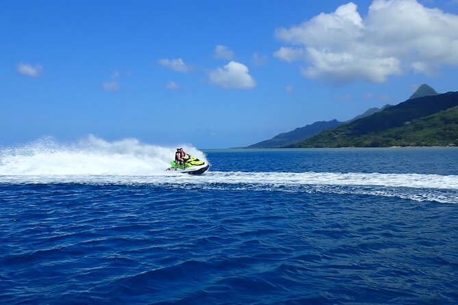 Private tour observing and swimming with humpback whales in Moorea - Weather, cancellations, and practical planning