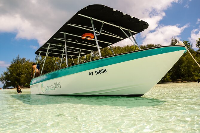 Private tour whale watching and snorkeling in Moorea - Cancellation and weather details
