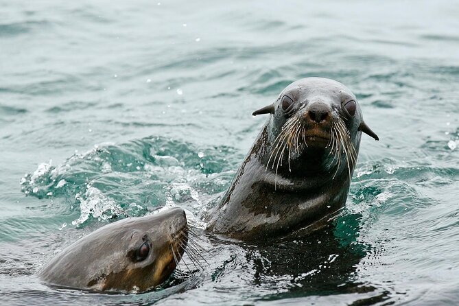Private Tour: Whale Watching Shared Boat Trip from Cape Town - The road over Sir Lowry’s Pass