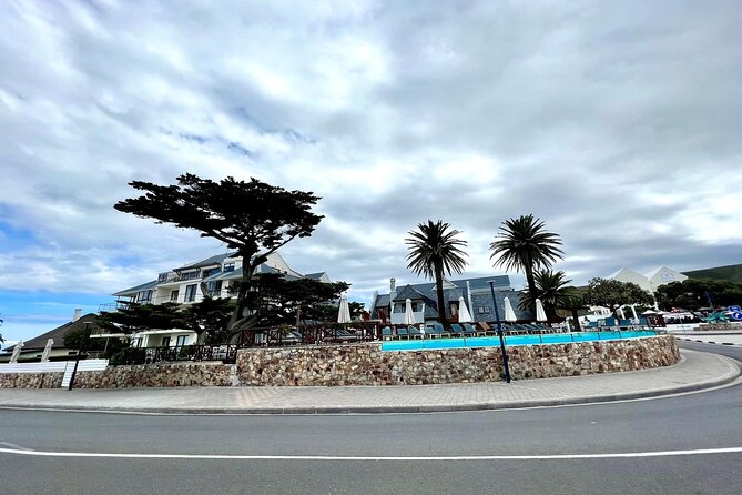 Private Tour: Whale Watching Shared Boat Trip from Cape Town - The Whale Coast road back to Cape Town