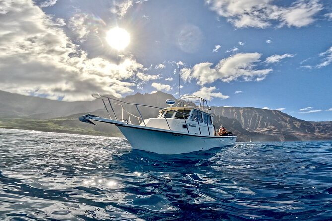 Private Whale Watch and Snorkel off Kaua'i - The First Hours: Searching for Whales and Dolphins