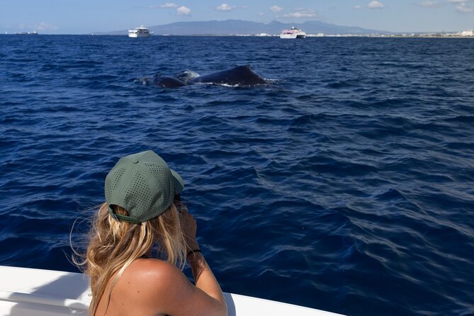 Private Whale Watching Activity: 6 passengers max - Practical Details Before You Reserve
