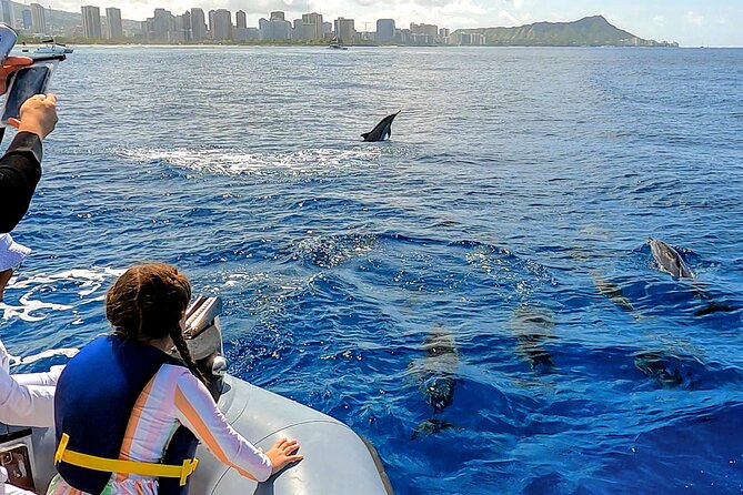 Private Whale Watching Adventure - Practical details that improve the day