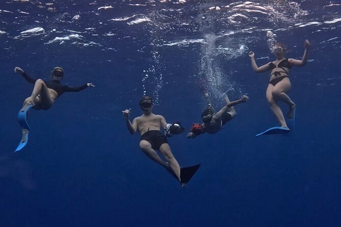 Private Whale Watching Adventure in Mo'orea - Six hours searching for humpback whales