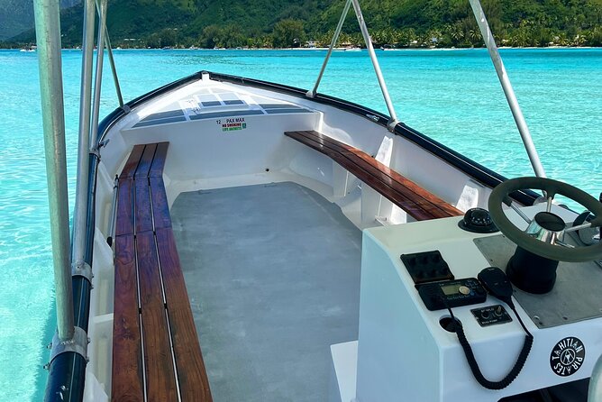 Private Whale Watching Adventure in Mo'orea - What the guides add to the experience