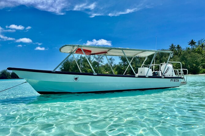 Private Whale Watching Adventure in Mo'orea - Sea conditions, rain, and the limits of nature