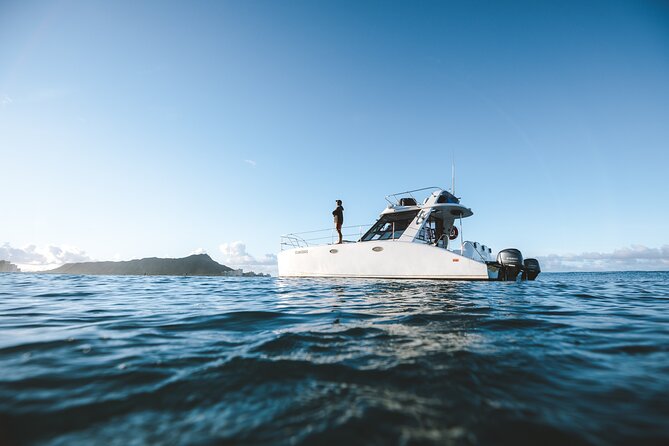 Private Whale Watching and Coastal Swimming Tour Honolulu - Whale watching during the humpback season