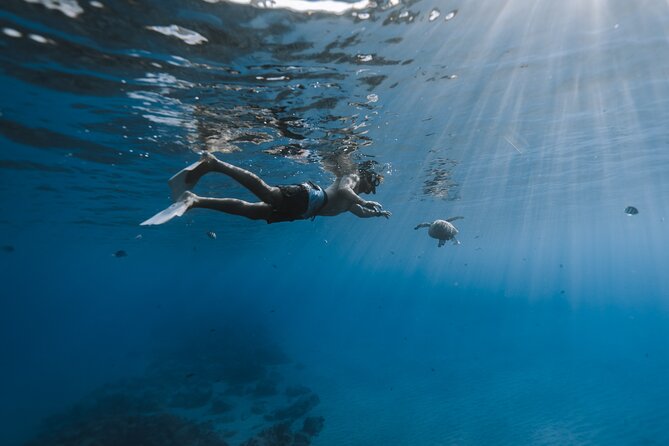 Private Whale Watching and Coastal Swimming Tour Honolulu - The crew and the feel aboard