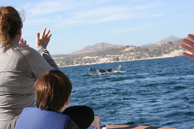 Private Whale Watching in San José del Cabo - Who will enjoy this most