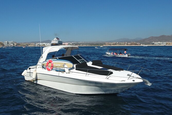 Private Whale Watching on Luxury Yacht in Cabo San Lucas - Drinks, snacks, and the food question