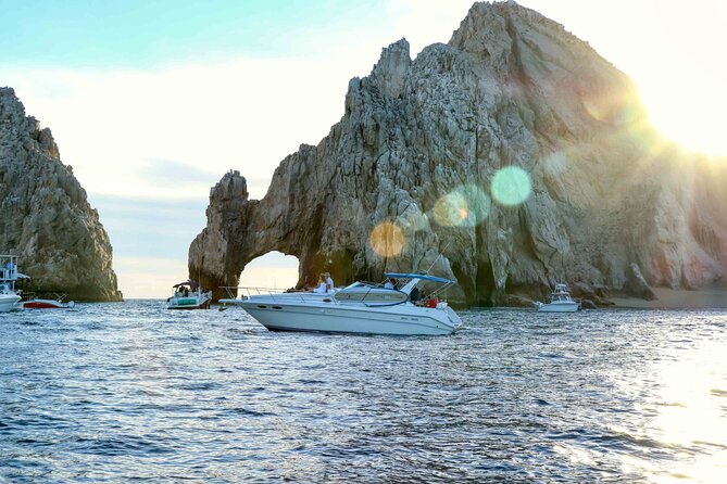 Private Whale Watching on Luxury Yacht in Cabo San Lucas - Who will enjoy this Cabo whale watch most?