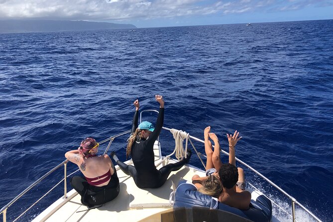Private Whale Watching Safari from North Shore Oahu - Whale watching is the heart of the outing