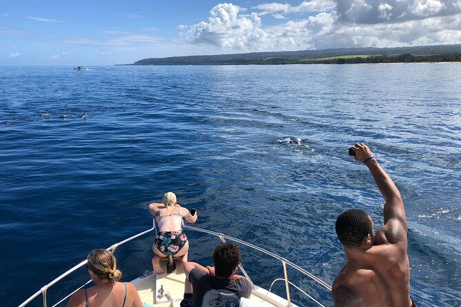 Private Whale Watching Safari from North Shore Oahu - Who should book this experience